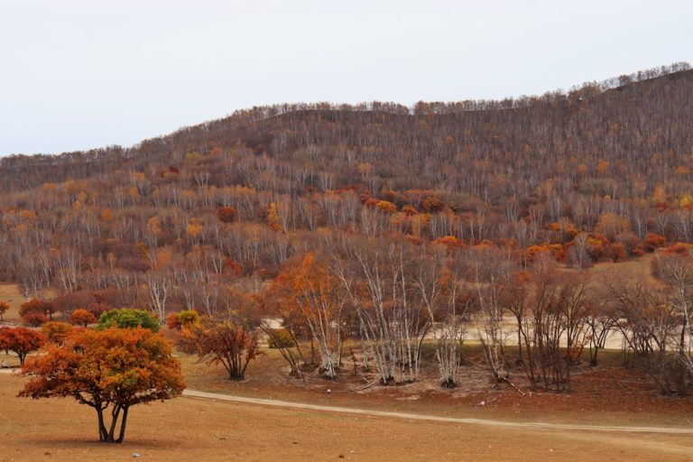 Unlocking the Great Outdoors: Your Ultimate Guide to Budget-Friendly Travel Adventures