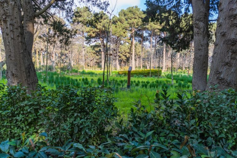 Embrace the Earth: Your Guide to Eco-Conscious Outdoor Adventures