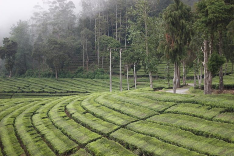 Unpacking the Myths of Outdoor Travel: What You Really Need to Know